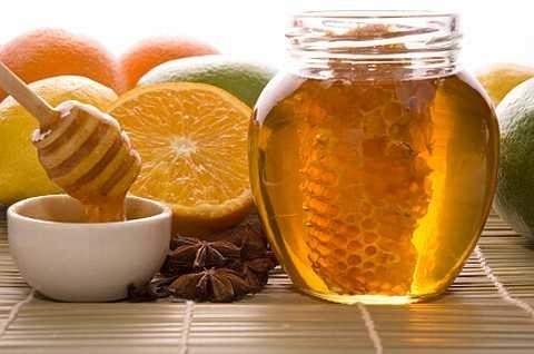  What Are The Benefits Of Honey Dixie Highway Eustis FL